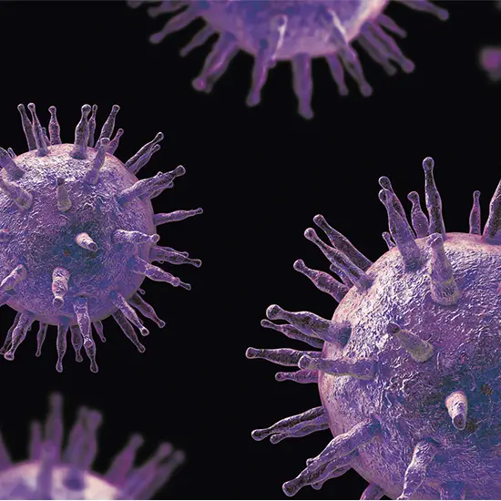 Epstein Barr Virus (VCA), IgA Test